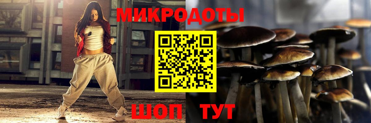 Псилоцибиновые грибы MAGIC MUSHROOMS Дагестанские Огни
